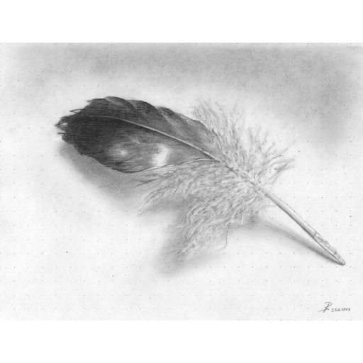 Hounted = feather drawing